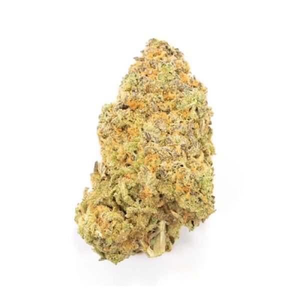 Grape God Hybrid_2 Grape God Hybrid